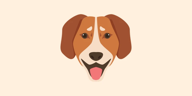 Random Dog Breed Generator