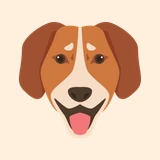 Random Dog Breed Generator