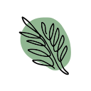 random aesthetic generator